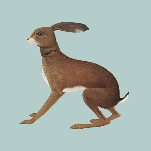 Vashti Bunyan - Lookaftering 2025 Reissue, Expanded, 2 LPs