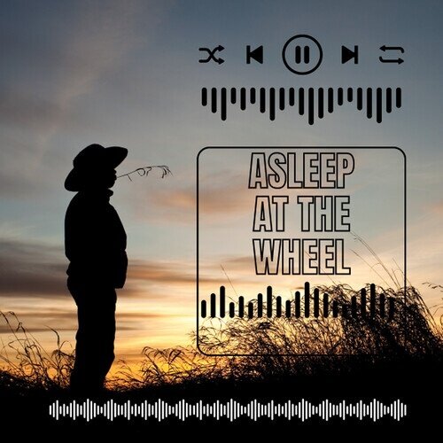 Asleep At The Wheel - Asleep At The Wheel - Live Manufactured On Demand