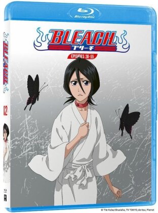 Bleach - Partie 2 (4 Blu-ray)