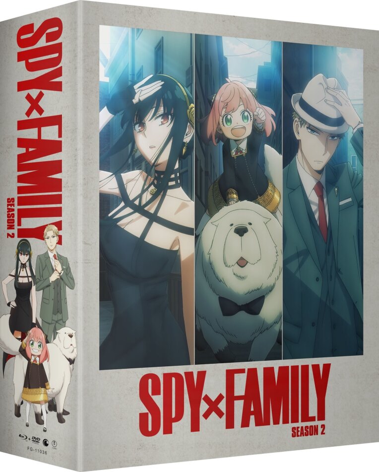Spy x Family - Season 2 Limited Edition, 2 Blu-rays + 2 DVDs