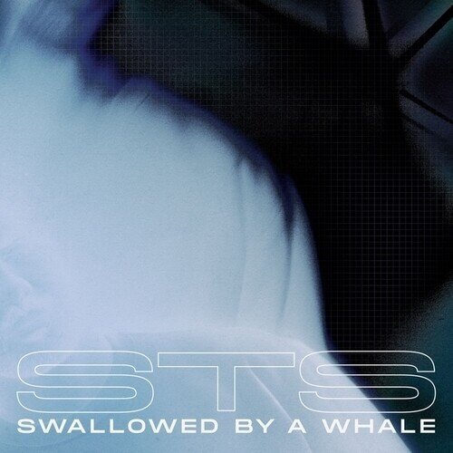 STS (Techno) - Swallowed By A Whale 12" Maxi
