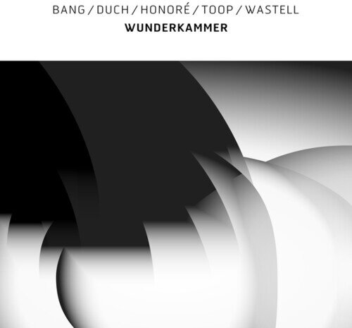 Bang, Duch, Honore, Toop & Wastell - Wunderkammer LP
