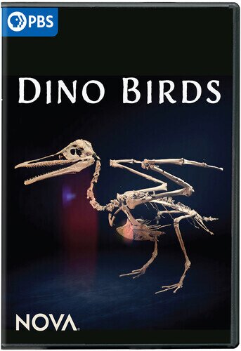 Dino Birds NOVA