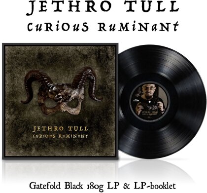 Jethro Tull - Curious Ruminant (LP)