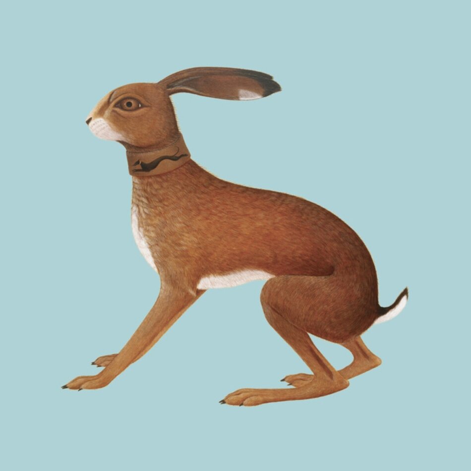 Vashti Bunyan - Lookaftering 2025 Reissue, Expanded, Édition 20ème Anniversaire, 2 CD