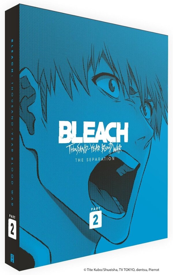 Bleach: Thousand-Year Blood War - Part 2 : The Separation Édition Collector, 2 DVD