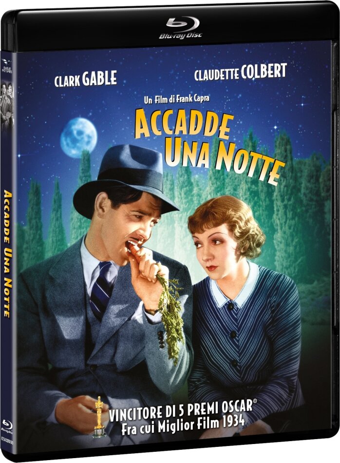 Accadde una notte (1934) b/w