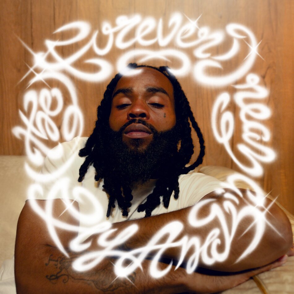 Fly Anakin - (The) Forever Dream LP