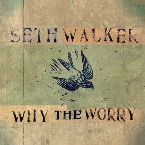 Seth Walker - Why The Worry LP