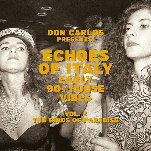 Don Carlos - Echoes Of Italy: Early 90'S House Vibes Vol. 2 The 2 LP