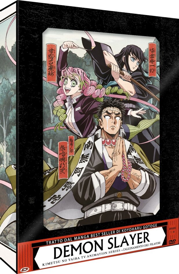 Demon Slayer - Box 6: Stagione 4 - L'allenamento dei pilastri (Eps. 01-08) Limited Edition, 2 DVDs