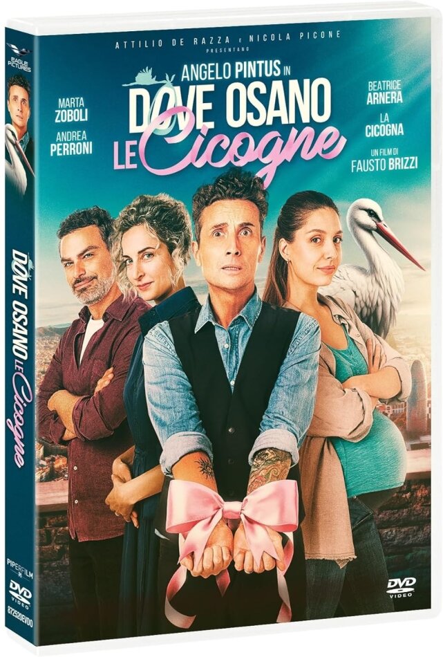 Dove osano le cicogne (2025)