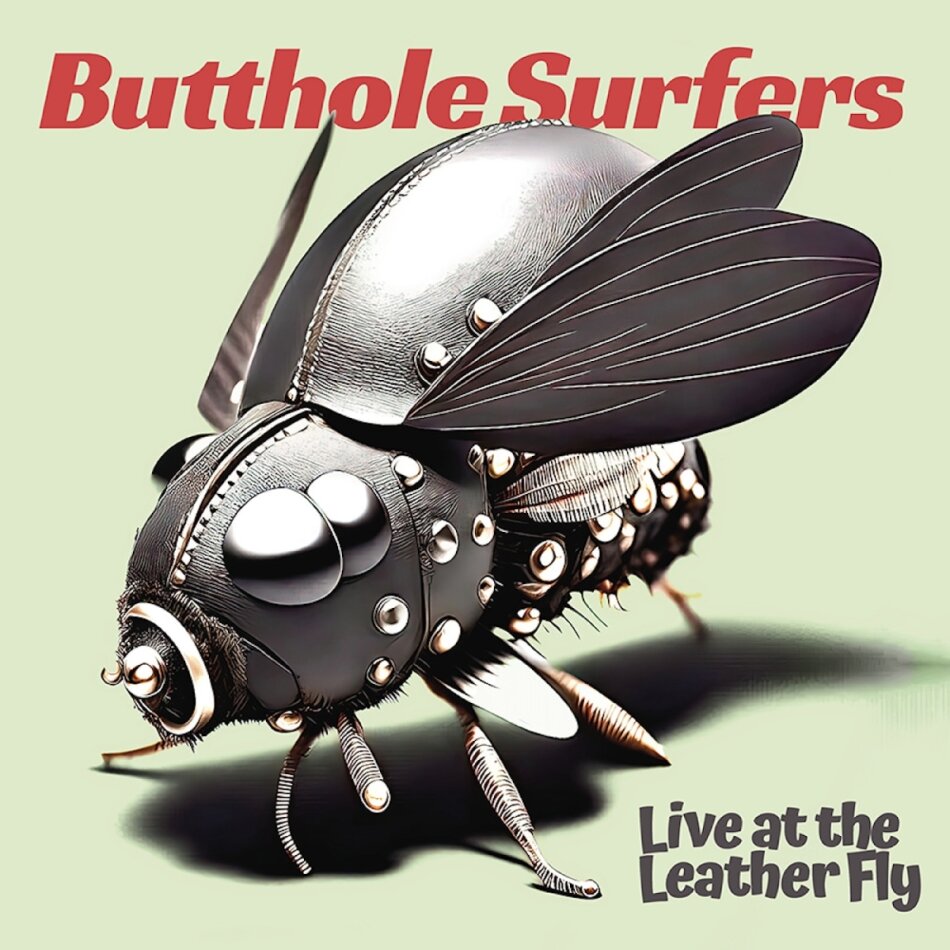 Butthole Surfers - Live at the Leather Fly Pink Vinyl, LP