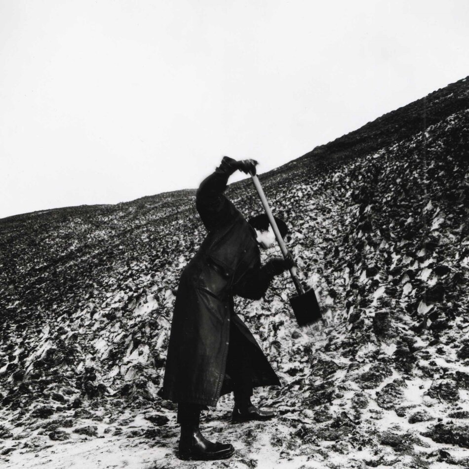 Drangsal - Aus keiner meiner Brücken die in Asche liegen ist je ein Phönix emporgestiegen Gatefold, 2 LPs