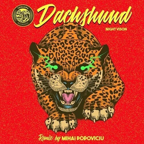 Dachshund - Night Vision (Mihai Popoviciu Remix) 12" Maxi