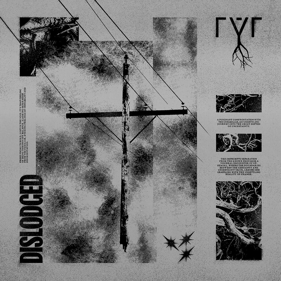 RYR - Dislodged Colored, LP