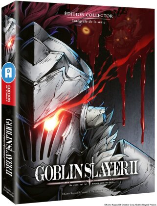 Goblin Slayer - Int&eacute;grale Saison 2 (&Eacute;dition Collector, Mediabook, 2 Blu-ray)