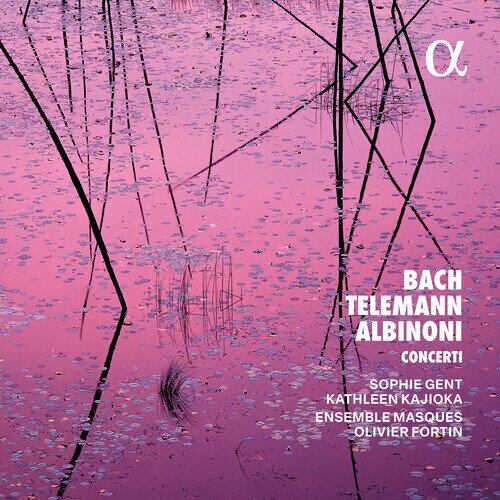 Sophie Gent, Kathleen Kajioka, Olivier Fortin, Ensemble Masques, … - Bach Telemann Albinoni - Concerti