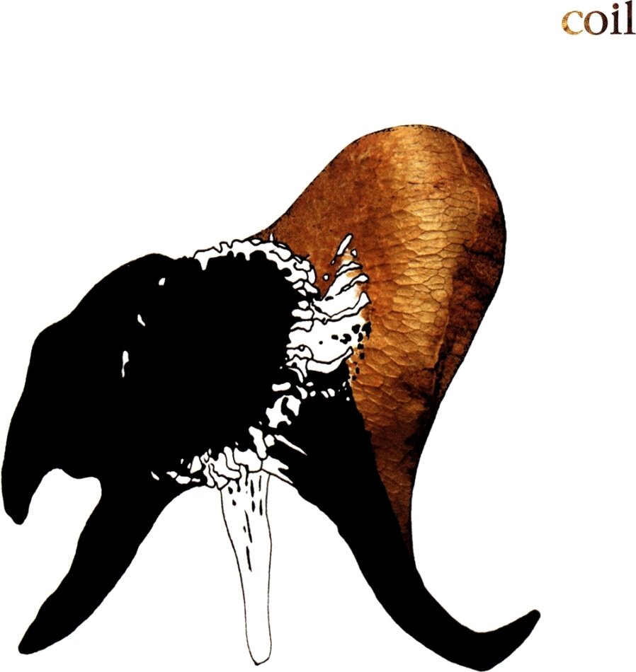 Coil - Black Antlers 2025 Reissue