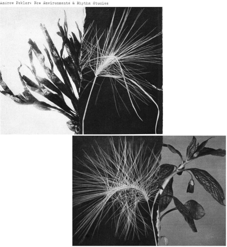 Andrew Pekler - New Environments & Rhythm Studies LP