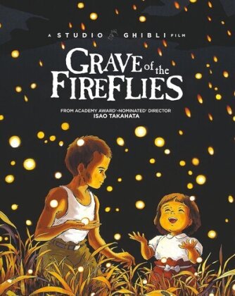 Grave of the Fireflies (1988) (Limited Edition, Steelbook, Blu-ray + DVD)