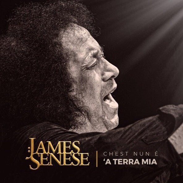 James Senese - Chest Nun A A Terra Mia