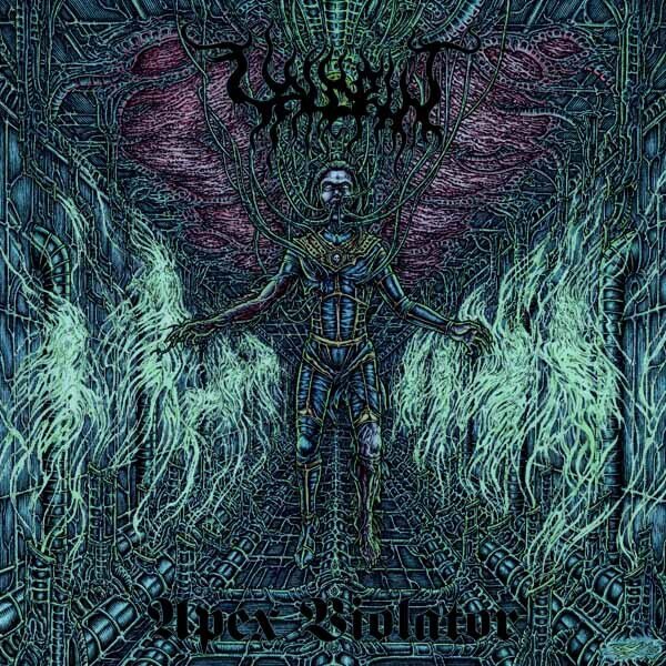 Valdrin - Apex Violator LP