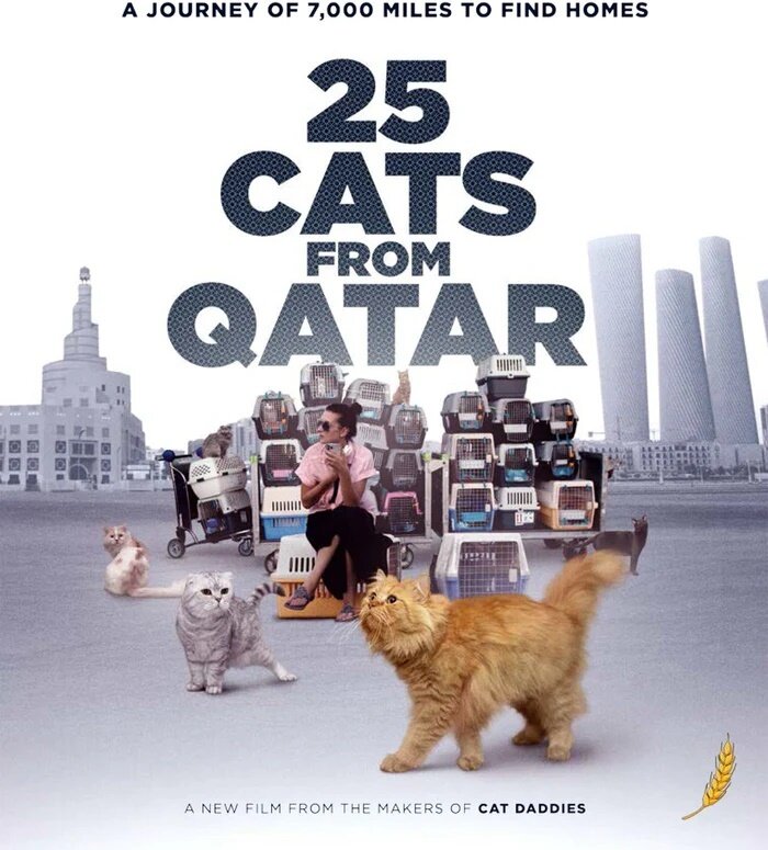 25 Cats from Qatar (2025)