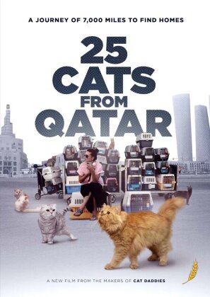 25 Cats from Qatar (2025)