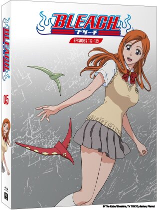 Bleach - Partie 5 (4 Blu-ray)
