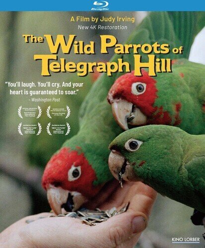 The Wild Parrots of Telegraph Hill (2003)