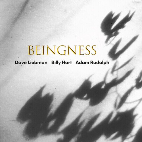 Dave Liebman, Adam Rudolph & Billy Hart - Beingness