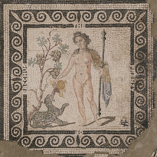 ASM - Frenzy Of Bacchus