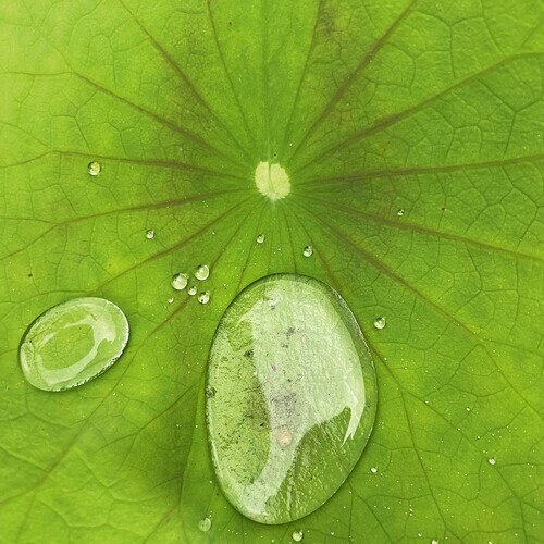 Peter Chilvers - Dust 3 10" Maxi