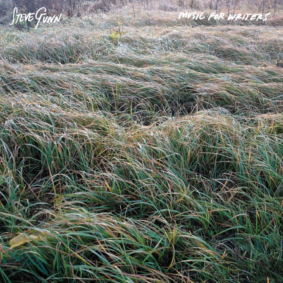 Steve Gunn - Music For Writers Colored, LP