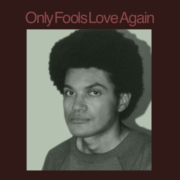 Danny Ayala - Only Fools Love Again LP