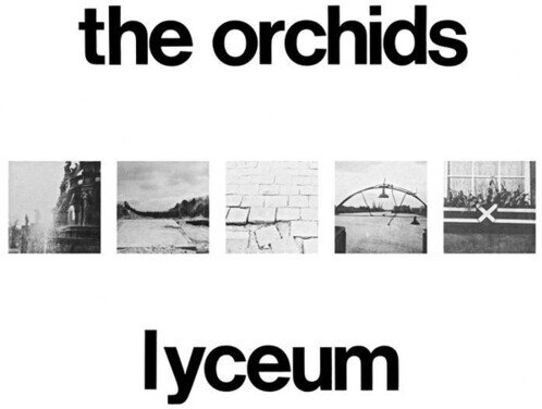 The Orchids - Lyceum
