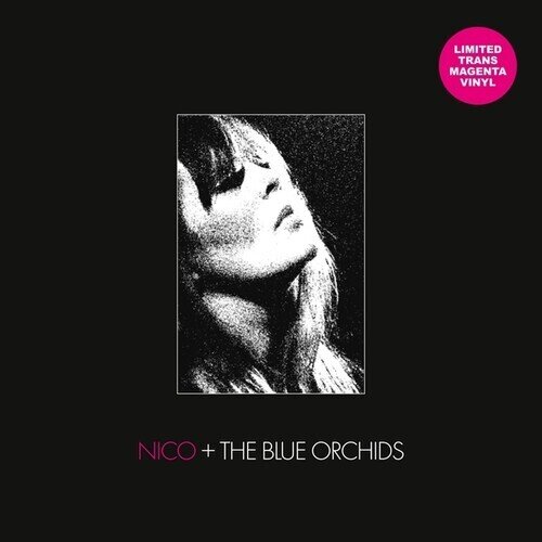Nico & Blue Orchids - Live & In Session 1982 LP
