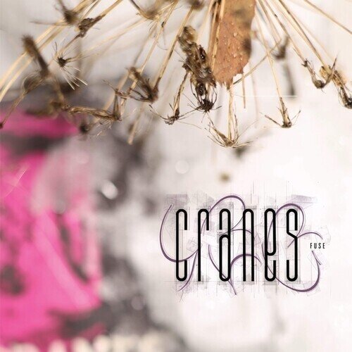 Cranes - Fuse 2025 Reissue, Dadaphonic, Colored, LP