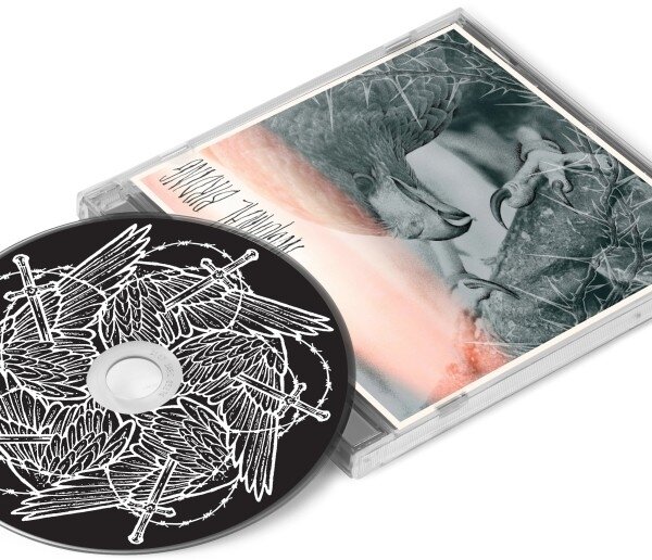 Author & Punisher - Nocturnal Birding