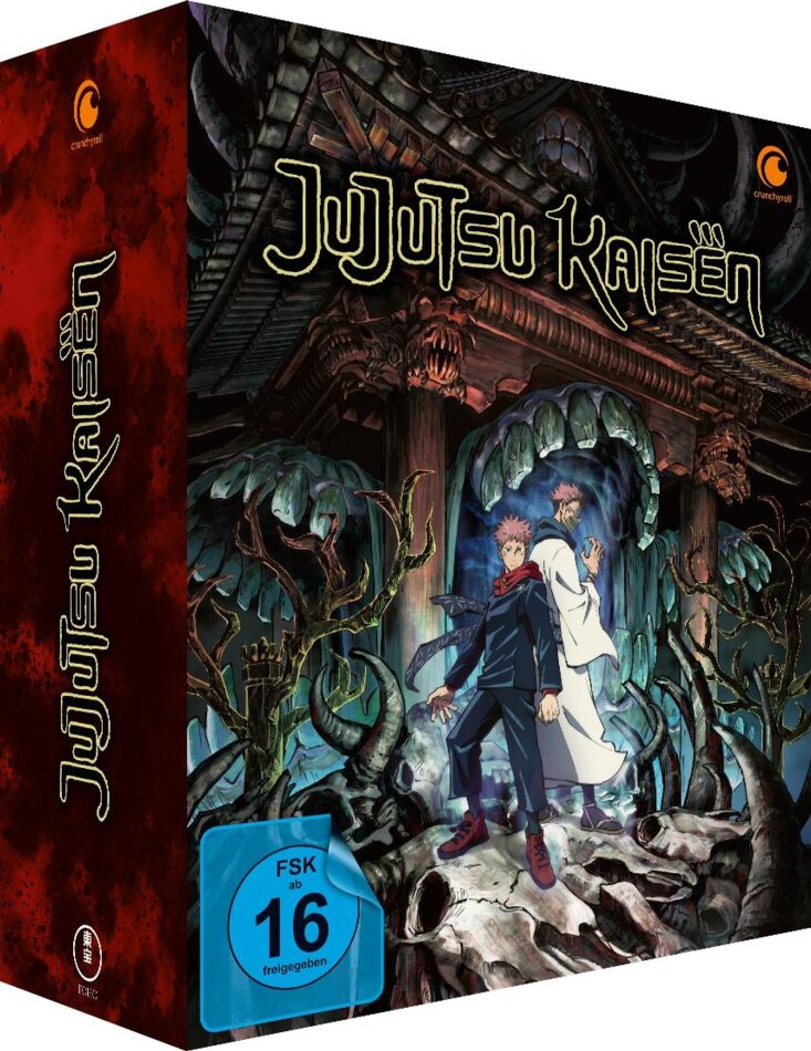 Jujutsu Kaisen - Staffel 1 Complete edition, 4 DVDs