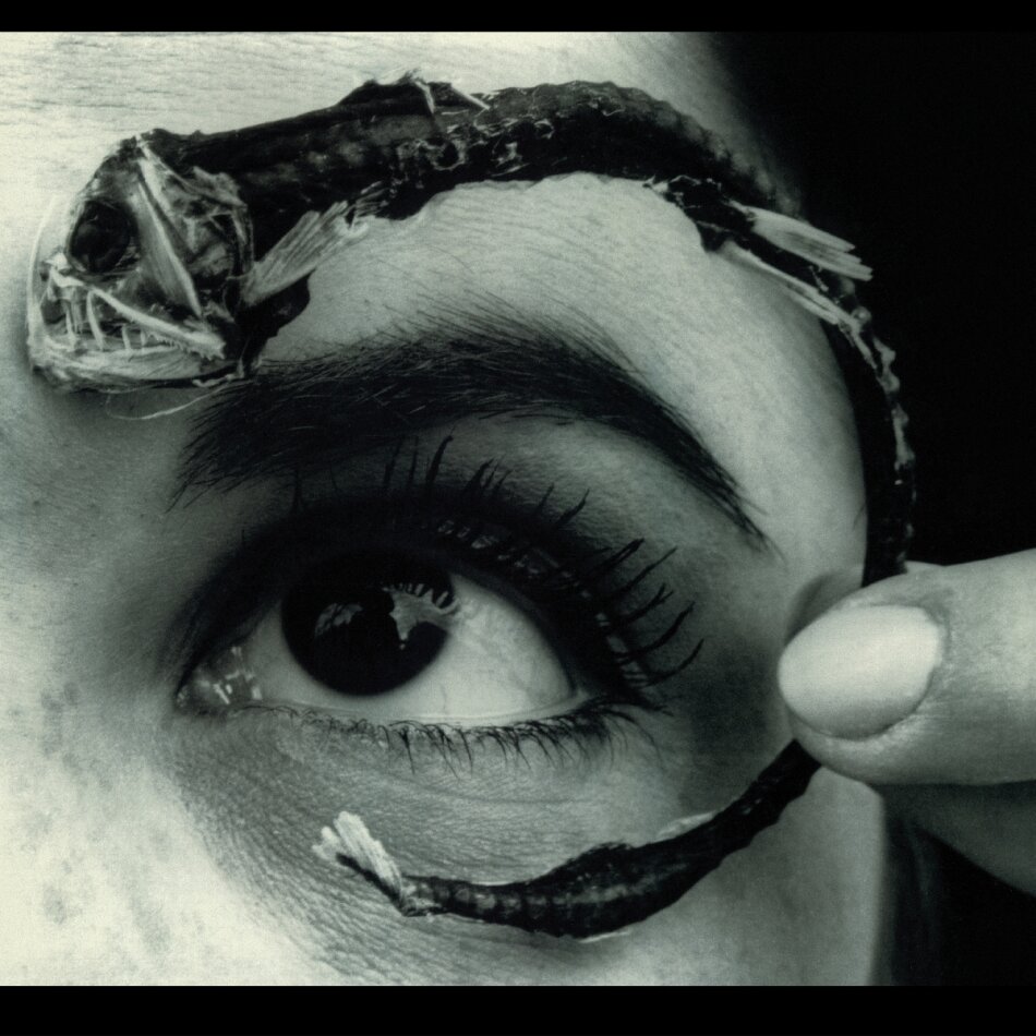 Mr. Bungle (Mike Patton) - Disco Volante 2025 Reissue, Rhino, Translucent Light Blue Vinyl, 2 LPs