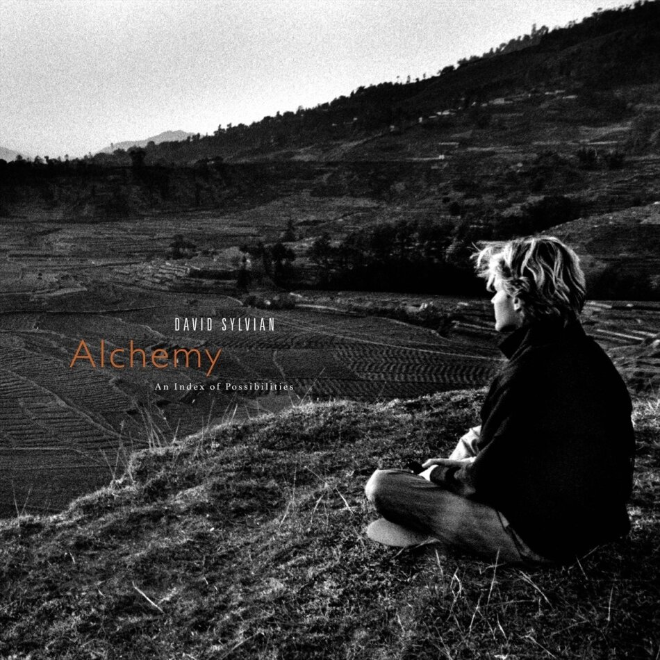 David Sylvian (Japan) - Alchemy: An Index Of Possibilities 2025 Reissue, Gold Opaque Vinyl, LP