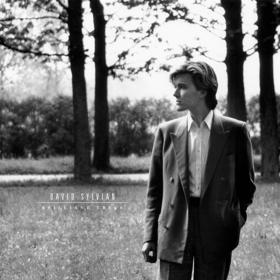 David Sylvian (Japan) - Brilliant Trees 2025 Reissue, Olive/Opaque Black Vinyl, LP