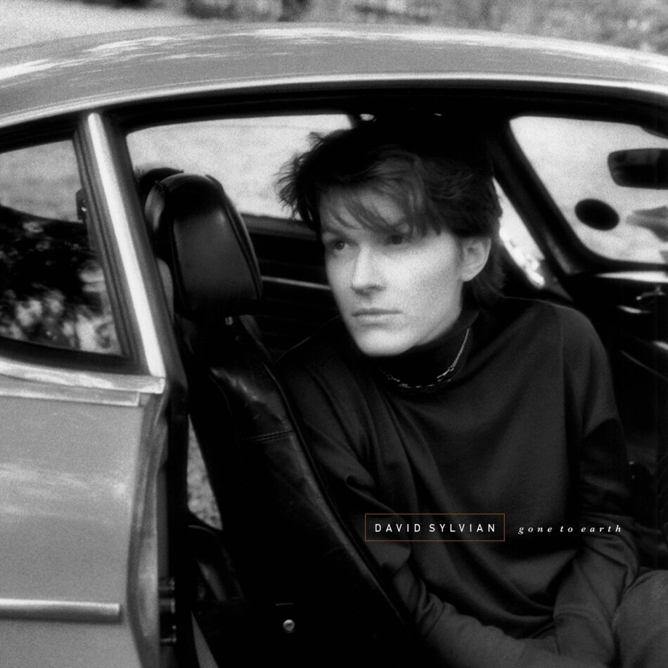 David Sylvian (Japan) - Gone To Earth 2025 Reissue, White/Brown/Opaque Black Vinyl, LP