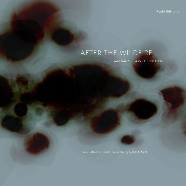 Jan Bang & Arve Henriksen - After the Wildfire LP