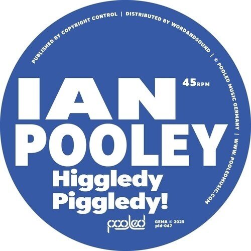 Ian Pooley - Higgledy Piggledy! 12" Maxi