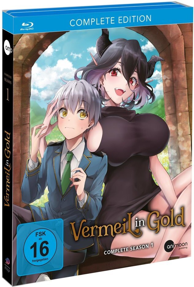 Vermeil in Gold - Staffel 1 Complete Edition, 3 Blu-rays