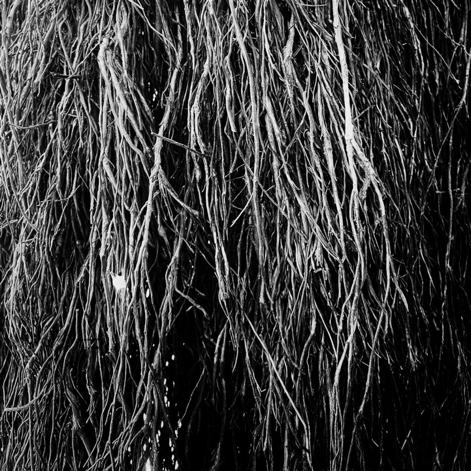 Eraldo Bernocchi, Iggor Cavalera (Sepultura) & Merzbow - Nocturnal Rainforest LP
