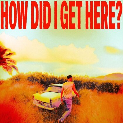 Louis Tomlinson - How Did I Get Here? (Clear Vinyl, LP)